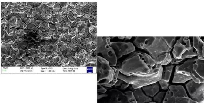 铁门关铁门关蔡司铁门关扫描电镜